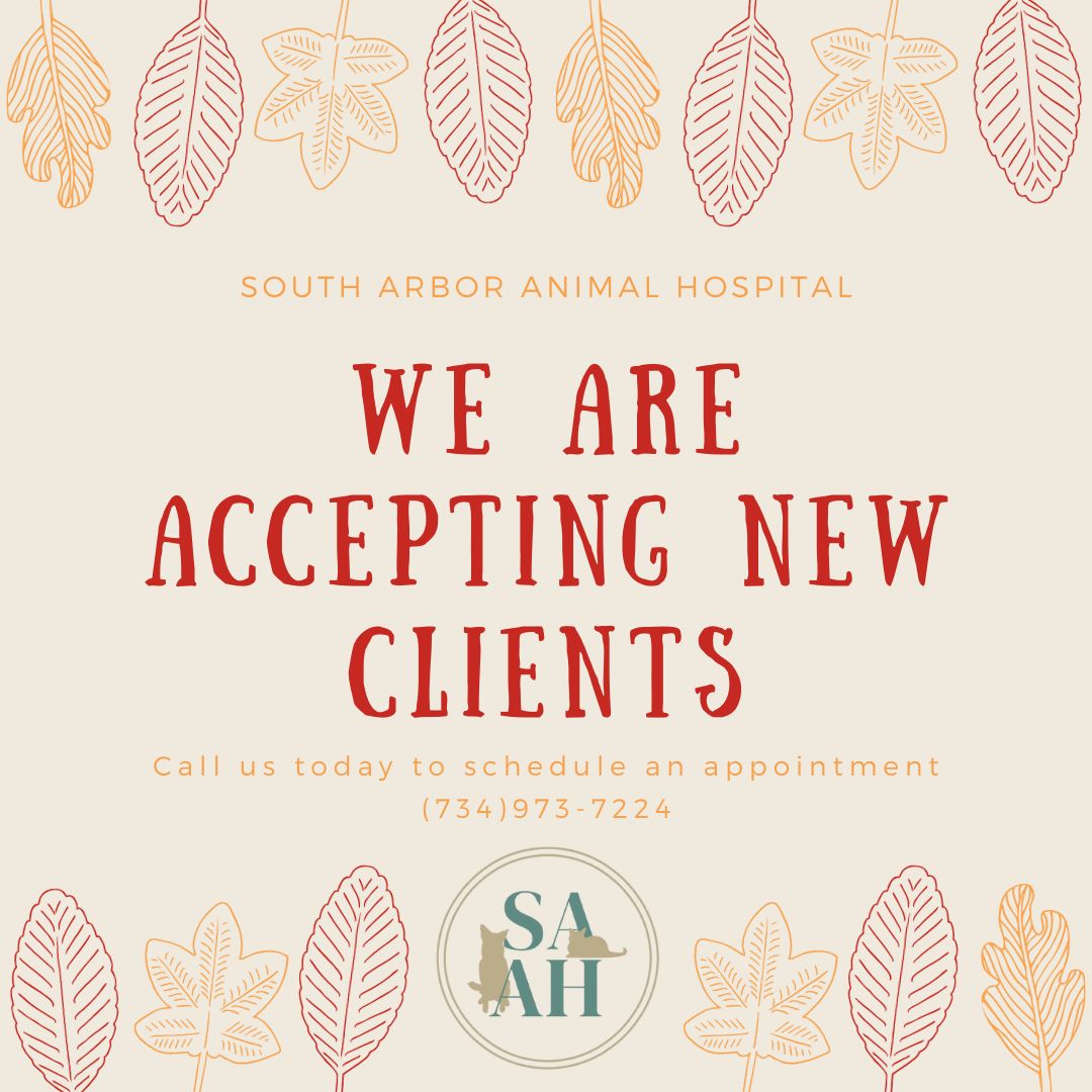 South Arbor Animal Hospital Ypsilanti Veterinarians